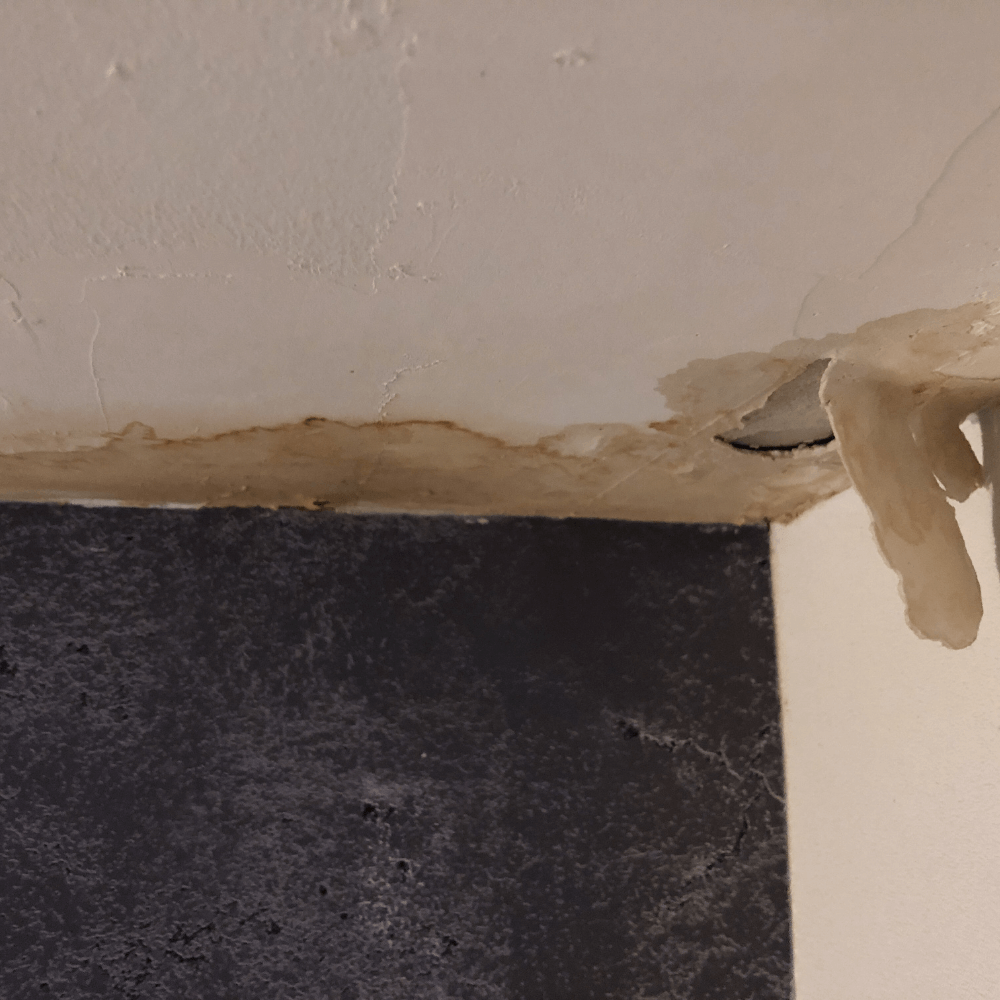 Home Water Damage Restoration and Remediation Hosuton