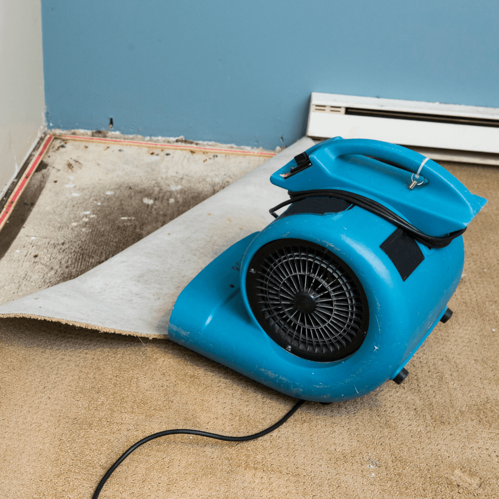 Water Damage Remediation Services