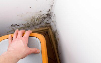 3 Types of In-Home Mold Tests