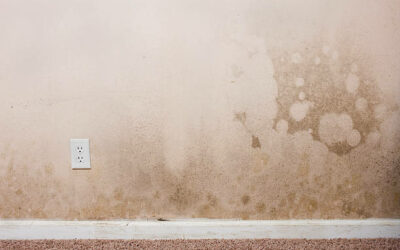 Overcoming the Psychological Effects of Water Damage