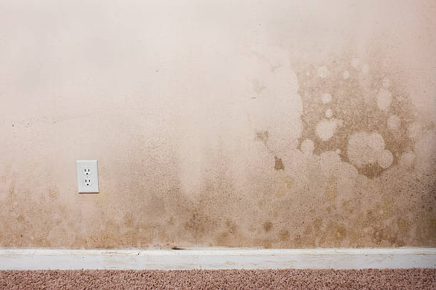 Overcoming the Psychological Effects of Water Damage