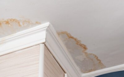 The Economic Cost of Water Damage