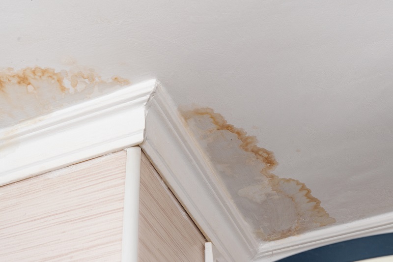 The Economic Cost of Water Damage