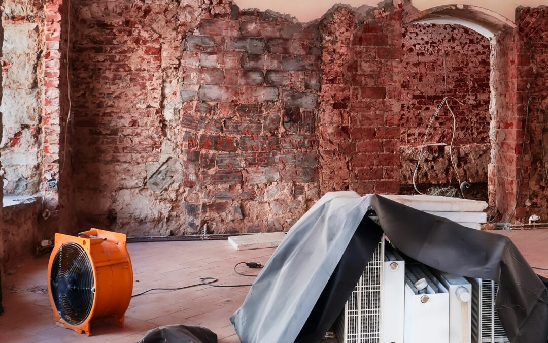 5 Professional Water Damage Services
